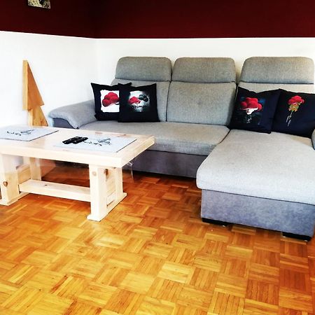 Ferienwohnung Villingen エクステリア 写真