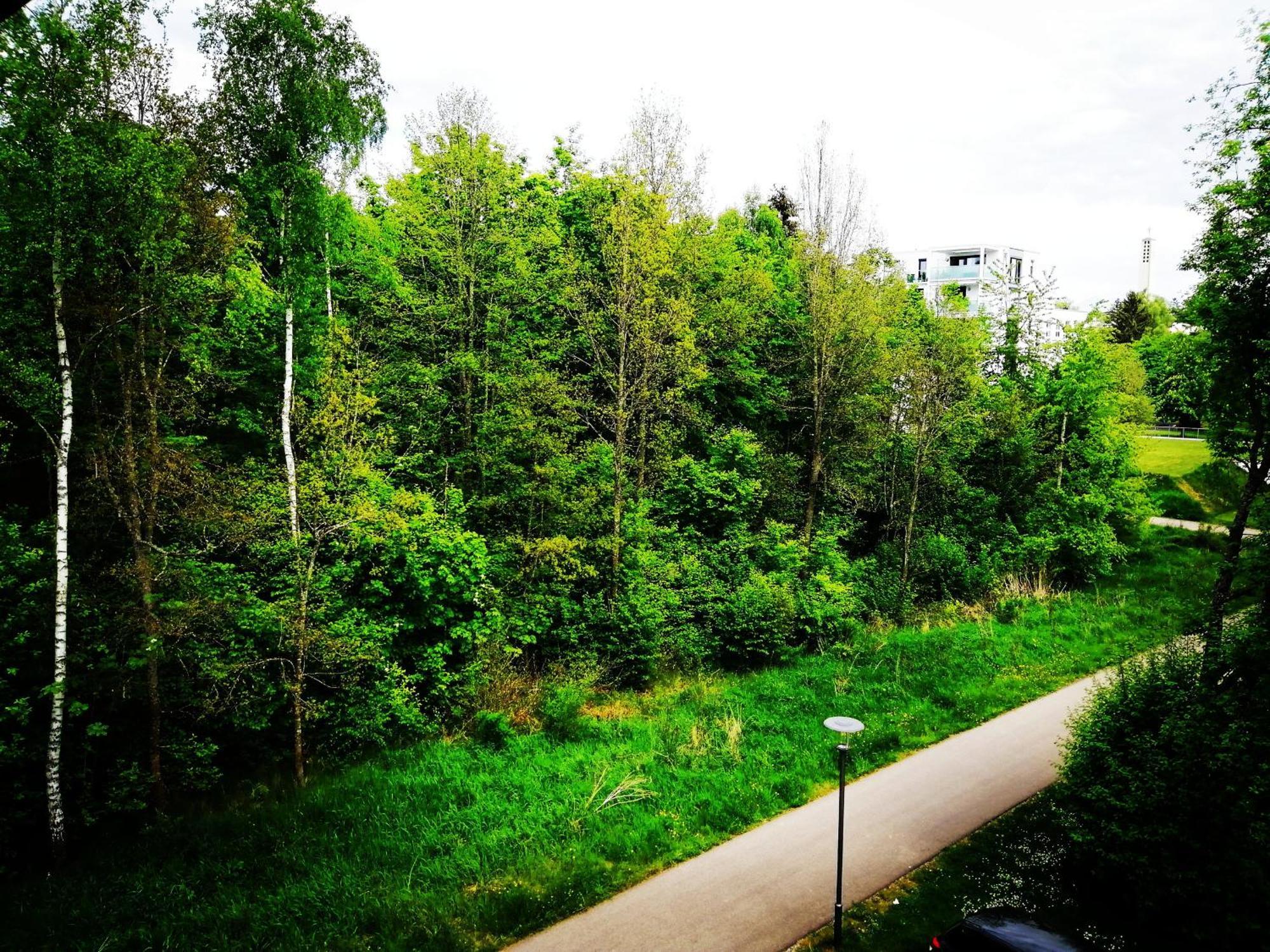Ferienwohnung Villingen エクステリア 写真